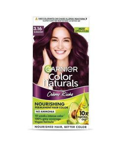 Garnier Color Naturals Shade 3.16 Burgundy CrÃ¨me Hair Color, 1 Kit